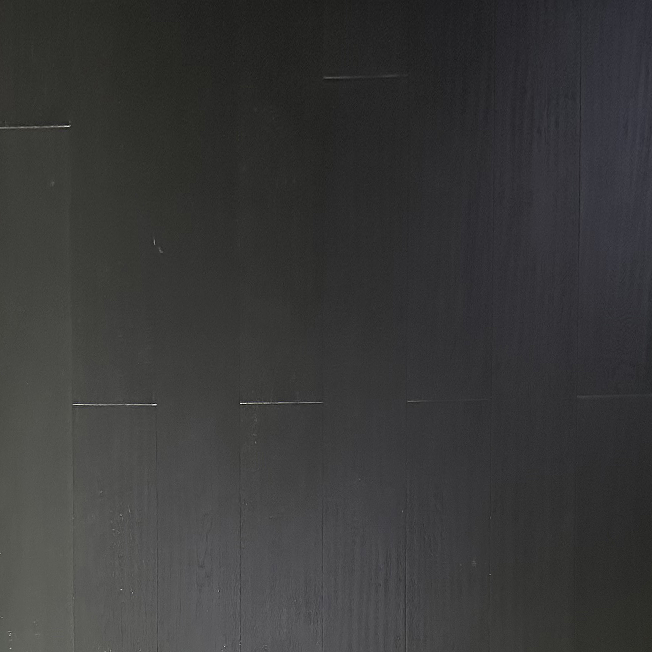 Black Bean(104) 12x190x1900-1.jpg