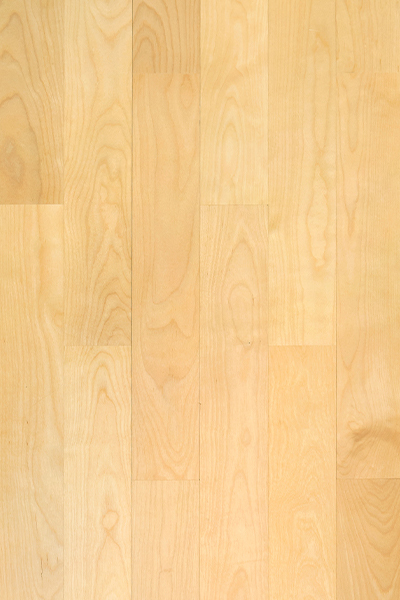 Birch 10x70x600-2.jpg