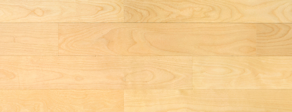 Birch 10x70x600-3.jpg