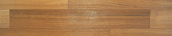Teak Brush 12x165x1200-3.jpg