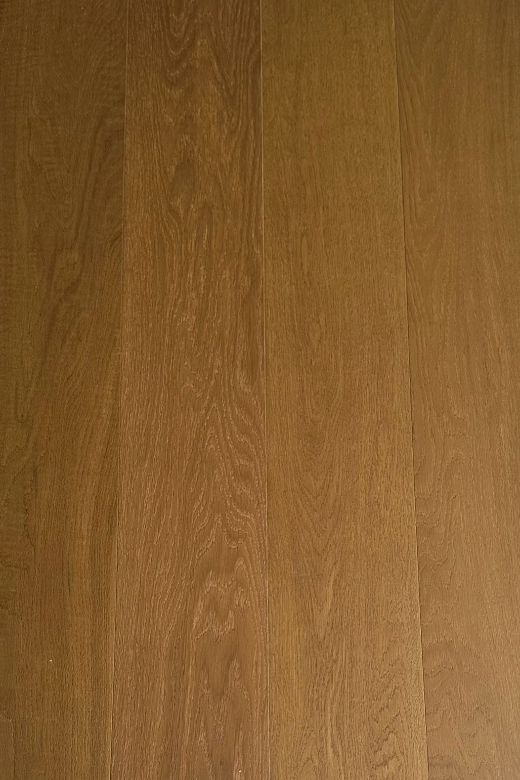 Alpaca 10x165x1200-2.jpg