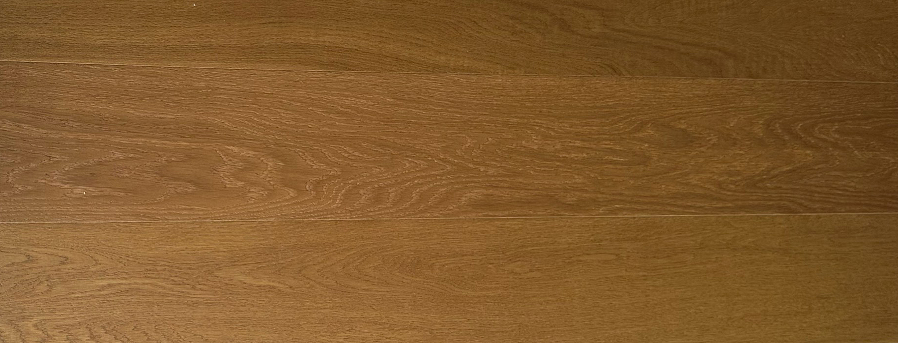 Alpaca 10x165x1200-3.jpg