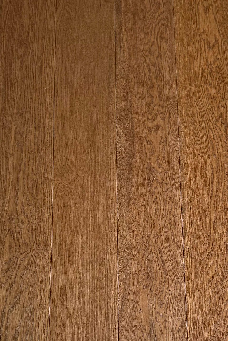 Pumpkin 12x150x1210-2.jpg