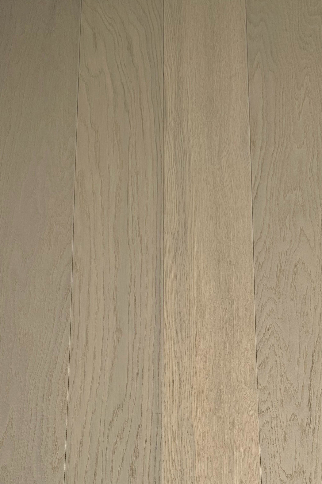 Rayon 10x167x1210-2.jpg