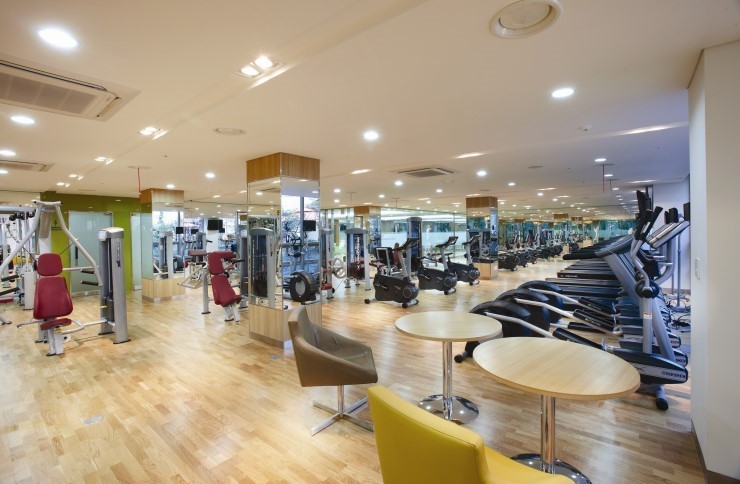 Maple 15x150x1800.JPG